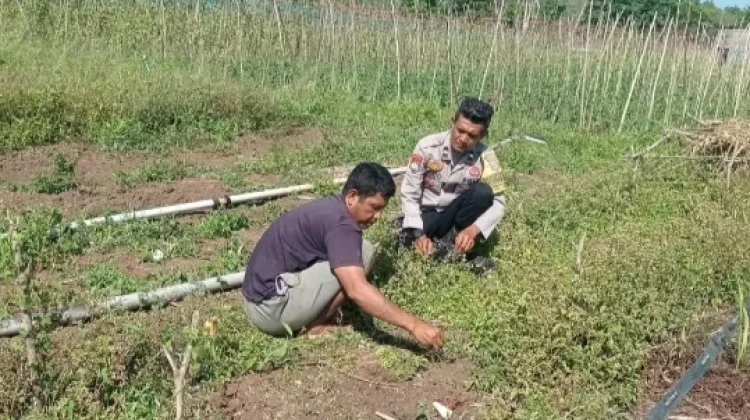 Bhabinkamtibmas Persiapan Ilngei Barat Sambangi Petani