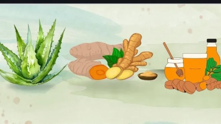 Resep Obat Nusantara