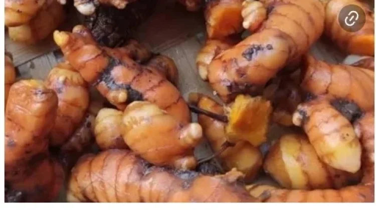 Kunyit Bisa di Buat Minuman Herbal