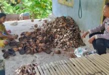 Bhabinkamtibma Amdasa Sambangi Petani Kopra