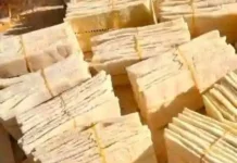 Sagu Tanimbar, Produk Lokal Bernilai Ekonomi di Tangan Pengusaha