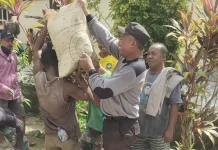 Bhabinkamtibmas Gotong Royong Bersama Warga Bangun Rumah Pastoran