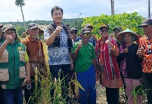 Bupati Tanimbar Ajak Generasi Muda Tanimbar Jadikan Pertanian Masa Depan