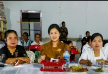 Fashion Show Bukan Sekadar Busana tapi Jati Diri Perempuan Tanimbar