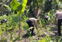 Polsek Nirunmas Kawal Ketahanan Pangan di Desa Tutukembong