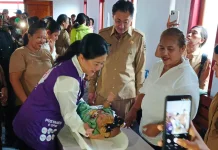 Ketua TP Posyandu Tanimbar Melakukan kunjungan kerja ke Desa Ridool,