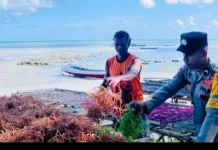 Bhabinkamtibmas Werain Sambangi Petani Rumput Laut