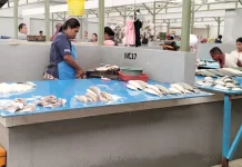 Pindah  ke Pasar Baru, Harga Ikan Tetap Normal