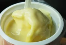 Cara Membuat Es Krim Ciptakan Kebahagiaan Buat Buah Hati