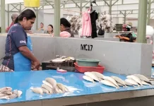 Pindah  ke Pasar Baru, Harga Ikan Tetap Normal