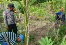 Bhabinkamtibmas Abat Perkuat Kemitraan lewat Bacarita Kamtibmas