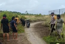 Bhabinkamtibmas Matakus Rangkul Pemuda Bersihkan Jalan Tani