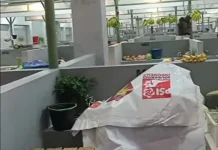 Curah Hujan Tinggi, Pasokan Sayur di Pasar Tradisional Menyusut