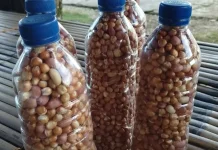Cita Rasa Khas, Camilan Desa Werain Tembus Ambon