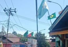 Euforia Piala Dunia Saumlaki, Warga Pasang Puluhan Bendera