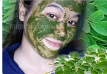 Rahasia  Daun Kelor yang Belum Banyak Diketahui