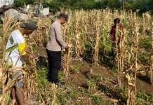 Bhabinkamtibmas Adaut  Lakukan Pendampingan Terhadap Kelompok Tani