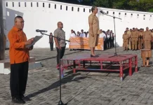 Sensus Ekonomi 2026 di Tanimbar Menakar Potensi Membangun Masa Depan Tanimbar