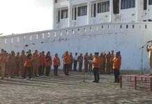 27.923 Usaha Jadi Sasaran BPS Tanimbar SE2026, Andalkan Aplikasi FASIH