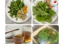 Ragam Herbal di Alam untuk Kesehatan Tubuh