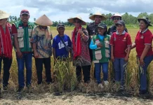 Wakil Bupati Apresiasi Desa Tutukembung Cetak Banyak Sarjana di Tanimbar