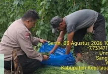 Bhabinkamtibmas Sangliat Krawain Sambangi Petani Sayur