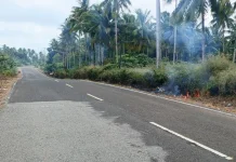 Kebakaran Lahan di Jalan Trans Yamdena Desa Wowonda Tanaman Warga Ikut Terbakar
