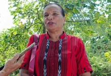 INPEX Masela LTDD Dapat Apresiasi Dorong Mutu Pendidikan SD
