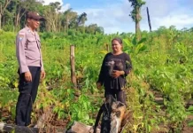 Bhabinkamtibmas Desa Awear Rumngeur Sambangi Petani di Kebun