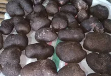 Bahan Baku Bubur Ubi, Kuliner Tradisional Tanimbar yang Tetap Lestari