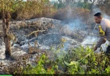 Bhabinkamtibmas Latdalam Bersama Warga Berhasil Atasi Karhutla