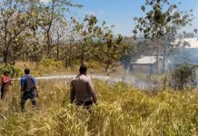 Polsek Tansel , Brimob dan Damkar Padamkan Karhutla