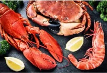 4 Manfaat Chitosan untuk Tubuh