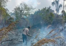 Bhabinkamtibmas Lermatang dan Brimob Padamkan Karhutla