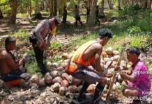 Bhabinkamtibmas Desa Romnus Sambangi Warga