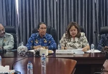 Komite II DPD RI Kunjungi Saumlaki demi Revisi UU Migas dan Masa Depan Blok Masela.