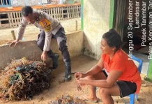 Bhabinkamtibmas Lamdesar Barat Sambangi Petani Rumput Laut