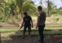 Bhabinkamtibmas Ilngei Dukung Ketahanan Pangan dan Cegah Karhutla