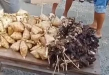 Ketupat dan Daging Babi Jadi Hidangan Utama Pesta Rakyat Adat Nalu di Saumlaki