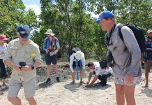 Sail Darwin Ajak Peserta Tanam Mangrove di Lauran Cegah Abrasi Panatai