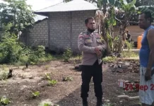 Bhabinkamtibmas Desa Ilngei Sambangi Petani di Kebun