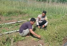 Bhabinkamtibmas Persiapan Ilngei Barat Sambangi Petani