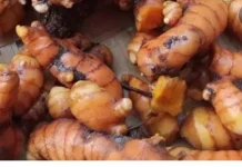 Kunyit Bisa di Buat Minuman Herbal
