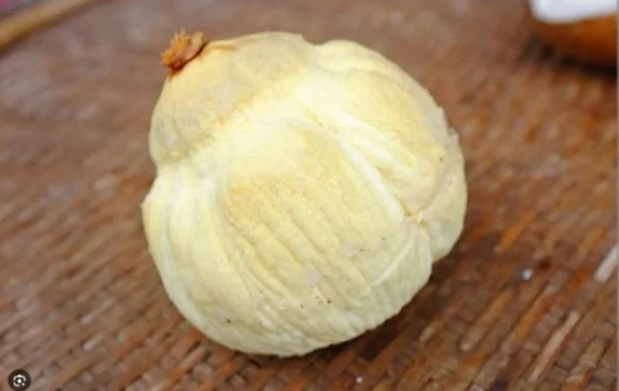 Ibu Fina : Atasi Kolesterol Jahat  Dengan Embrio  Kelapa