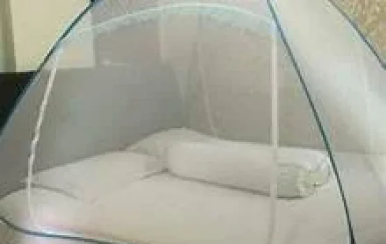 Pentingnya Kelambu Bagi Kesehatan Keluarga