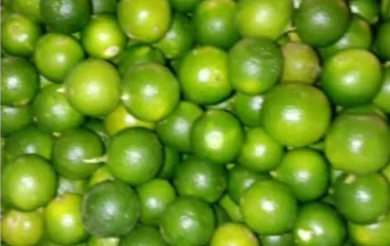 Lemon Cina/Cui  untuk Obat Kaki Tertusuk Paku