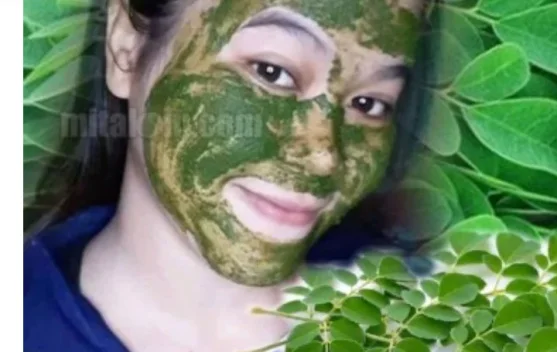 Rahasia  Daun Kelor yang Belum Banyak Diketahui