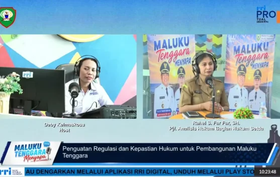 Strategi Pemkab Maluku Tenggara Atasi Hiperregulasi