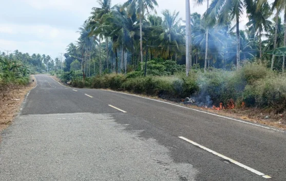 Kebakaran Lahan di Jalan Trans Yamdena Desa Wowonda Tanaman Warga Ikut Terbakar