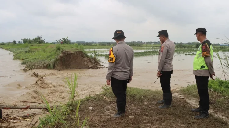 Tanggul Jebol, Ratusan Personel Polres Demak Evakuasi Warga
